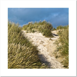 SAND DUNE of Denmark Posters and Art